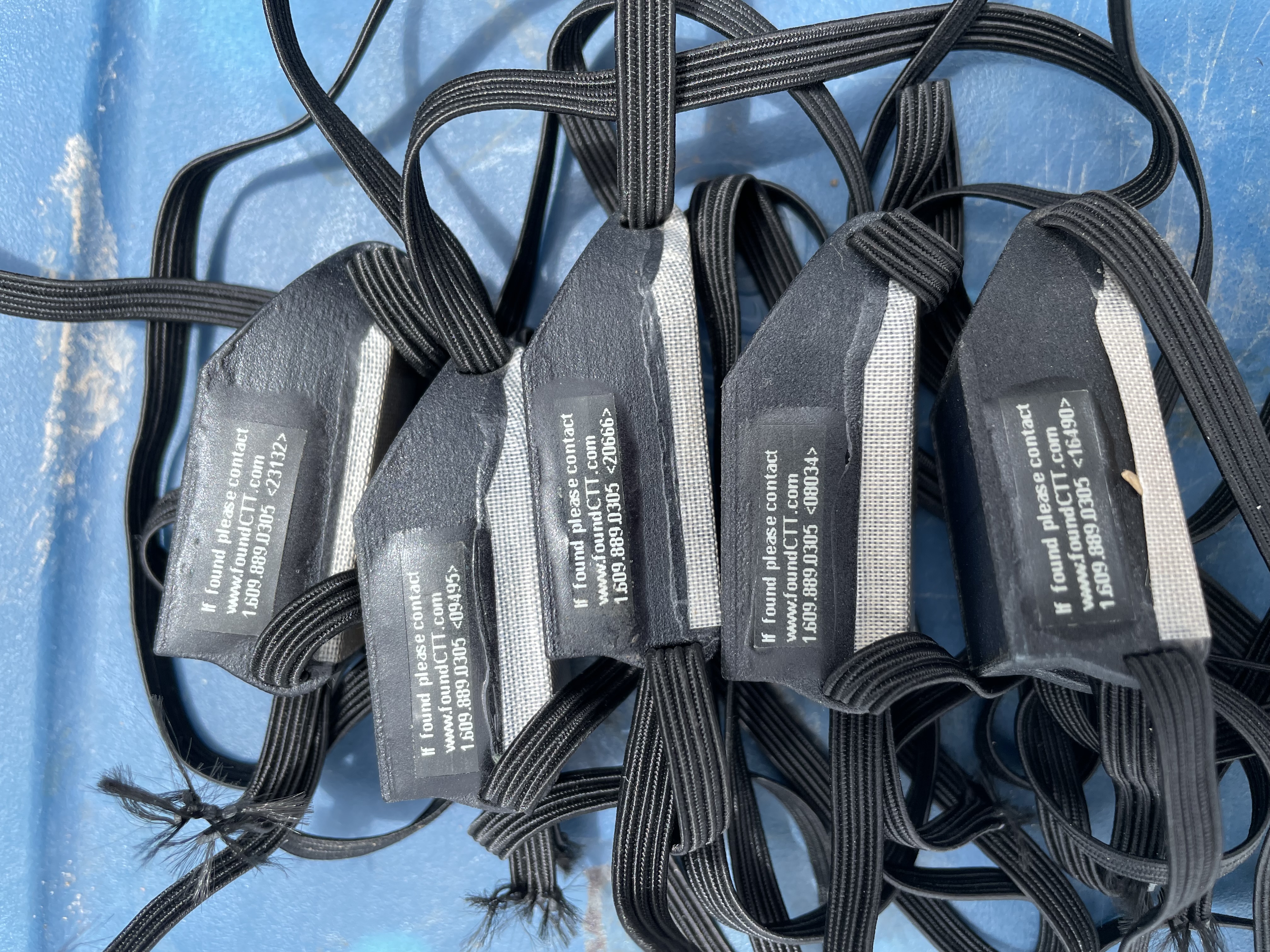 GPS backpack transmitters for white-faced ibis research | FWS.gov
